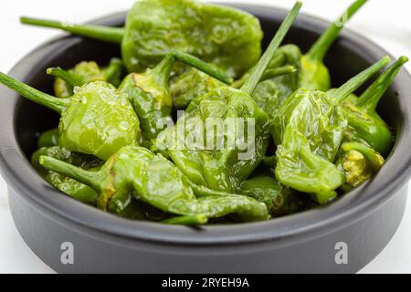 Gekochte Padron-Paprika mit Olivenöl und Meersalz Stockfoto