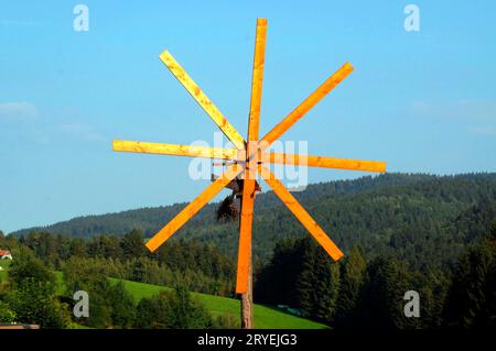 Klopotec Vogelschar im österreichischen Weinberg Stockfoto