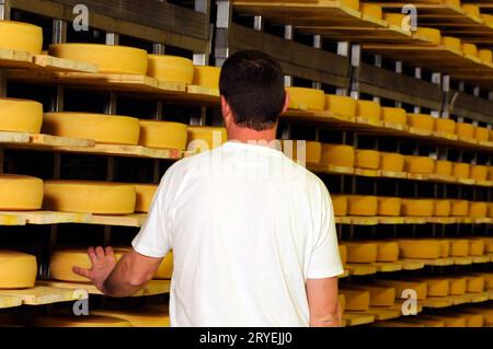 Käsemacher in der industriellen Lebensmittelproduktion Stockfoto