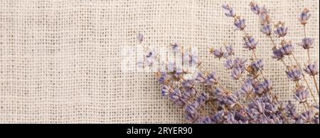 Schöne trockene Lavendelblüten auf Sackleinen, Draufsicht. Leerzeichen für Text Stockfoto