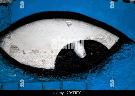 Auge, Organ des Sehsystems Stockfoto