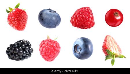 Frische Heidelbeeren und andere Beeren isoliert auf weiß, Set Stockfoto