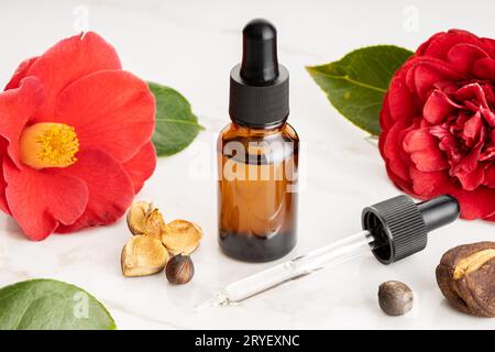 Ätherisches Kamelienöl. Kamelienblume, Samen und Öl Glasflasche für Schönheit, Hautpflege, Wellness Stockfoto