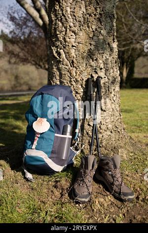 Rucksack mit Muschelsymbol für den Jakobsweg, Wanderstiefeln und Stangen, die sich auf einen Baum lehnen. Pilgerfahrt nach Santiago de Compo Stockfoto