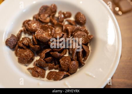 Milch in Schüssel mit Schokoladenflocken auf weißer Schüssel servieren Stockfoto