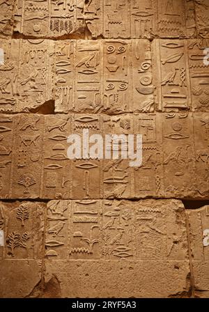 Steinmauer mit altägyptischen Hieroglyphen Stockfoto