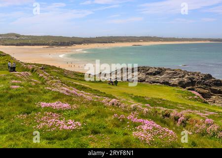 18. Mai 2023: Godrevy Head, Cornwall, Vereinigtes Königreich - Godrevy Head und Godrevy Beach an einem sonnigen Frühlingstag entspannen sich die Menschen in der Fülle der Seefracht Stockfoto