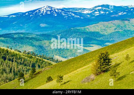 National Bison Range, Montana. Palouse Prairie Grasland auf steilen Hügeln, mit Mission Mountains im Hintergrund. Stockfoto