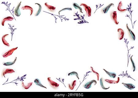 Verwelkte Tulpenblätter isoliert auf weißem Hintergrund, der den Rahmen bildet. Draufsicht flach mit Kopierraum in der Mitte des Rahmens Stockfoto