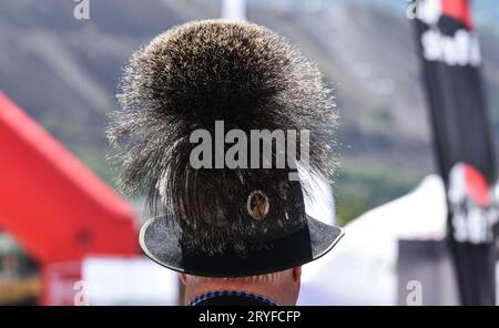 Büschel aus Gämsen, getragen als Hutdekoration Stockfoto