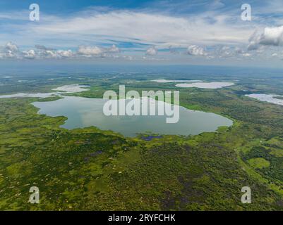 Vogelperspektive auf das Tierschutzgebiet mit Pflanzen über dem Wasser. Agusan Marsh auf den Philippinen. Stockfoto
