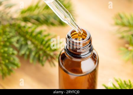 Tanne ätherisches Öl in Flasche Stillleben. Pflanzliche Heilmittel Stockfoto