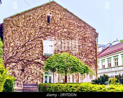 Die Stadt Tarnow ist nicht nur die einzigartige Schönheit der Altstadt, die mittelalterliche Gassen, architektonische Meisterwerke der Gotik erhalten hat. Stockfoto