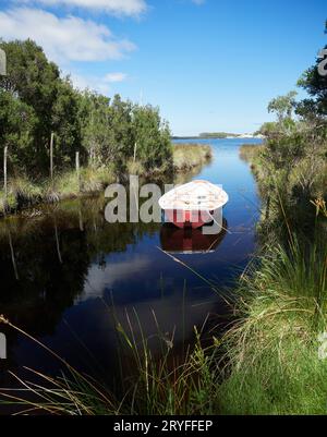 Rotes Holzruderboot im Bach vor dem Hafen von Macquarie in Strahan Tasmanien. Die Reflexionen sind deutlich auf dem Tanninwasser, das das Wasser dunkel macht. Stockfoto