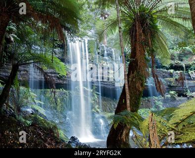 Russell Falls im Mt Field National Park. Detaillierte Abbildung eines Teils des Falls, die die Vegetation von Farnen und Baumfarnen rund um den Fall zeigt. Stockfoto