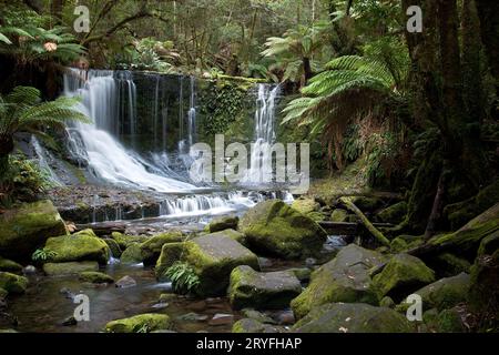 Wasserfälle Mt Field National Park Stockfoto