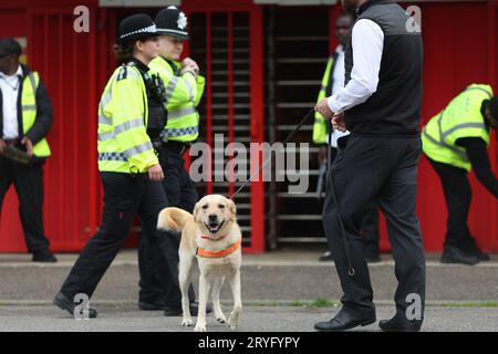 Ein Sniffer Dog, der im Broadfield Stadium vor dem Spiel der EFL League Two zwischen Crawley Town und Sutton United arbeitete. Die Drug/Pyro Detection Dogs wurden vom Club mitgebracht, um zu verhindern, dass Fans Rauchfackeln in die Spiele bringen. 30. September 2023 Stockfoto