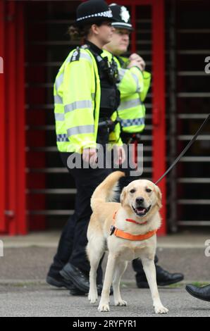 Ein Sniffer Dog, der im Broadfield Stadium vor dem Spiel der EFL League Two zwischen Crawley Town und Sutton United arbeitete. Die Drug/Pyro Detection Dogs wurden vom Club mitgebracht, um zu verhindern, dass Fans Rauchfackeln in die Spiele bringen. 30. September 2023 Stockfoto