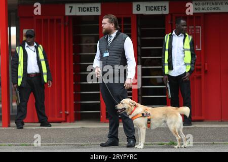 Ein Sniffer Dog, der im Broadfield Stadium vor dem Spiel der EFL League Two zwischen Crawley Town und Sutton United arbeitete. Die Drug/Pyro Detection Dogs wurden vom Club mitgebracht, um zu verhindern, dass Fans Rauchfackeln in die Spiele bringen. 30. September 2023 Stockfoto