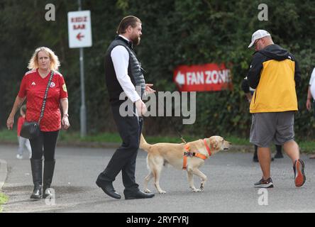 Ein Sniffer Dog, der im Broadfield Stadium vor dem Spiel der EFL League Two zwischen Crawley Town und Sutton United arbeitete. Die Drug/Pyro Detection Dogs wurden vom Club mitgebracht, um zu verhindern, dass Fans Rauchfackeln in die Spiele bringen. 30. September 2023 Stockfoto