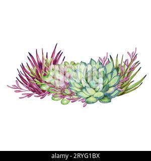 Aquarell Sukkulenten, grüner Strauß, Zimmerpflanzen Illustration, botanische Malerei. Stockfoto