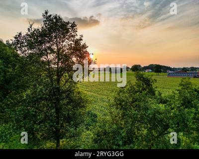 Luftdrohne Aufnahme einer schönen grünen und gelben landwirtschaftlichen Plantagen an der Grenze zu wilden Wäldern in Belgien, Europa mit t Stockfoto