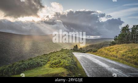 Gewundene Straße, die zum Lough Tay führt, genannt Guinness Lake, dramatischer Sonnenuntergang, Wicklow, Irland Stockfoto