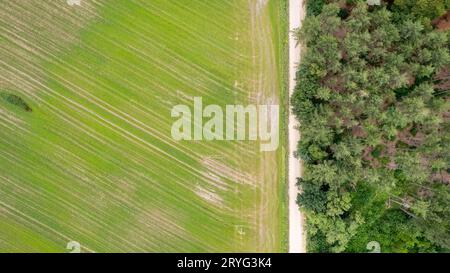 Drohnenaufnahme aus der Vogelperspektive eines frischen grünen Feldes im Frühling bei Turnhout bei Antwerpen, Belgien mit einer Straße zwischen den Feldern Stockfoto