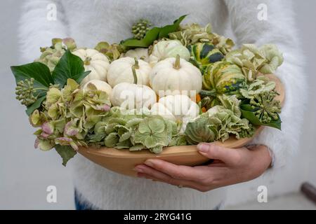 Unerkennbare Frau, die kleine, frische, reife weiße Kürbisse hält. Organische dekorative Zwergkürbisse in einer Holzwanne. Stockfoto