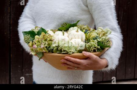 Unerkennbare Frau, die kleine, frische, reife weiße Kürbisse hält. Organische dekorative Zwergkürbisse in einer Holzwanne. Stockfoto