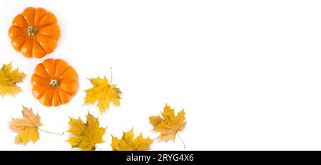 Mini-Kürbisse mit Herbstblättern isoliert auf weißem Hintergrund, Draufsicht. Kreative Herbstkomposition, Thanksgiving-Konzept. Stockfoto