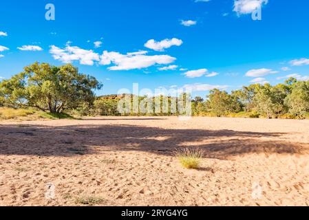 Der Todd River (Lhere Mparntwe) in der Nähe der alten Telegrafenstation in Alice Springs (Mparntwe) Northern Territory, Australien, ist zu 95 % des Jahres trocken Stockfoto