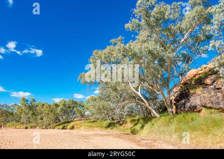 Der Todd River (Lhere Mparntwe) in der Nähe der alten Telegrafenstation in Alice Springs (Mparntwe) Northern Territory, Australien, ist zu 95 % des Jahres trocken Stockfoto