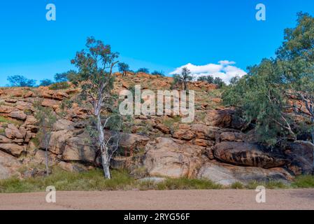 River Red Gums (Eucalyptus camaldulensis) und Siltstone Felsbrocken (Aeurolith) säumen den Todd River (Lhere Mparntwe) in der Nähe von Alice Springs, Australien Stockfoto