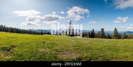 Wunderschönes Panorama auf die Beskid Mountains. Blick von Krawcow Wierch. Bergwiese. Beskid Żywiecki, Polen Stockfoto