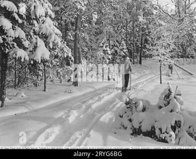 Langlaufen in den 1930er Jahren Ein älterer Mann fährt Langlaufski auf einem Waldweg. Eine geeignete Übung an einem schönen Wintertag in den 1930er Jahren Er trägt eine Hose und einen Strickpullover mit einer Kappe auf dem Kopf. Schweden im Jahr 1930. Stockfoto