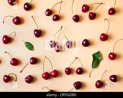 Frische Kirschen auf gelbem Hintergrund verstreut Stockfoto