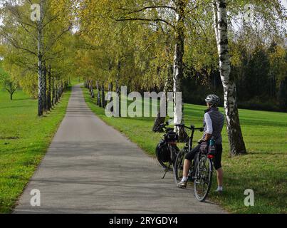 Birkenallee bei der Loreto-Kapelle bei Geislingen-Binsdorf; Bezirk Zollernalb; Deutschland Stockfoto