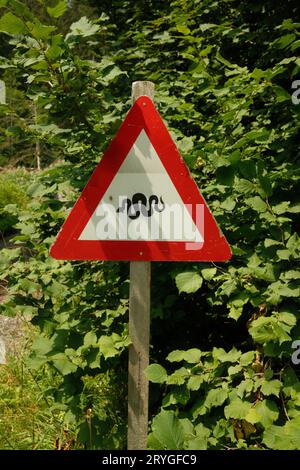 Vertikaler Schuss eines Warnschlangenschilds im Wald. Leogang, Salzburg, Österreich. Stockfoto