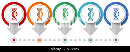 DNA-Schnittvektor-Symbolsatz, Infografikvorlage mit flachem Design, Symbole mit Zeigerkonzept in 5 Farboptionen für Webdesign und mobile Anwendungen Stock Vektor