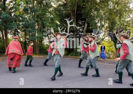 Die Abbots Bromley Horn Tänzerinnen, während sie sich zu Beginn des Tages um Abbots Bromley herum tanzten. Der Tanz wird seit 1226 aufgeführt. Geweihe werden um 7:45 Uhr aus der örtlichen Kirche entfernt, gesegnet und die Tänzer führen dann ihre Tänze in lokalen Dörfern bis 20:00 Uhr auf, wenn wieder einmal das Geweih für ein weiteres Jahr weggesperrt wird. Das jährliche Ritual beinhaltet Rentiergeweihe, ein Hobbypferd, Maid Marian und einen Narren. Stockfoto