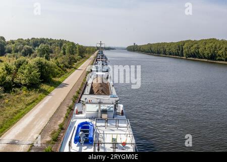 Frachtboote ankerten in Reihe am Ufer des Albert-Kanals, bevor sie die Lanaye-Schleuse erreichten, parallele leere Landstraße, üppige grüne Bäume, sonniger Tag wi Stockfoto
