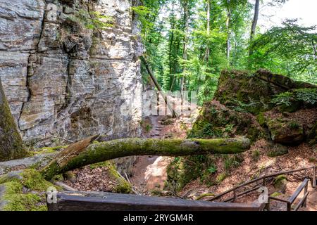 Hänge von Felsformationen, gefallene Baumstämme auf Wanderwegen, mit Moos bedeckte Steine, üppige Bäume im Hintergrund, Naturschutzgebiet Teufelsschlucht, Blick auf die Natur Stockfoto