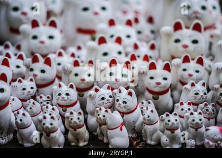 Das Bild wird einlädt (Tokyo Gotokuji) Stockfoto