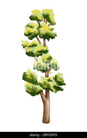 Aquarelle Darstellung des Waldbaums. Handgezeichneter Baum mit grünen Blättern Stockfoto