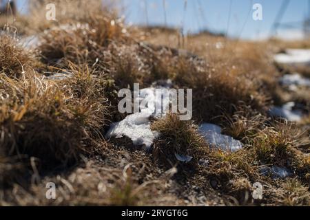 Schnee im Gras in herbstlichen Bergen, seichte Sicht Stockfoto