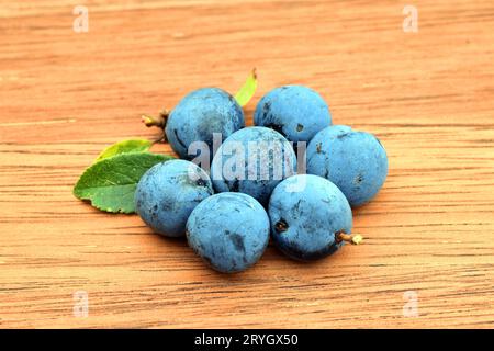 Früchte der Damson (Prunus domestica subsp. Insititia oder Prunus insititia) auf einem Holztisch. Stockfoto