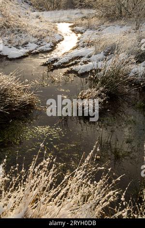 Sonnenlicht, das von einem Bach reflektiert wird, der nach einem Schneefall durch Feuchtgebiete und Wälder fließt. Powys, Wales. Januar. Stockfoto