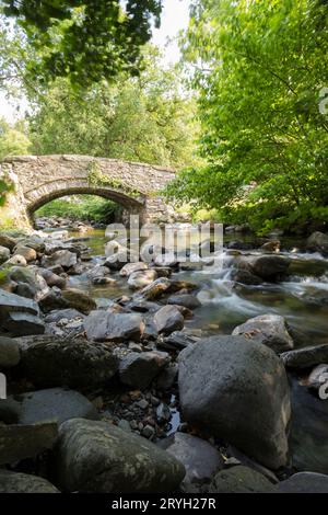 Steinbrücke über einen Fluss mit Felsbrocken. Abergwynant, Gwynedd, Wales. Juni. Stockfoto