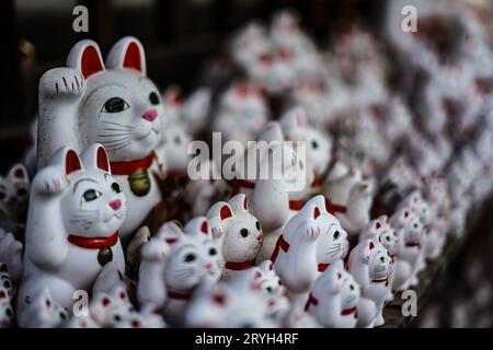 Das Bild wird einlädt (Tokyo Gotokuji) Stockfoto